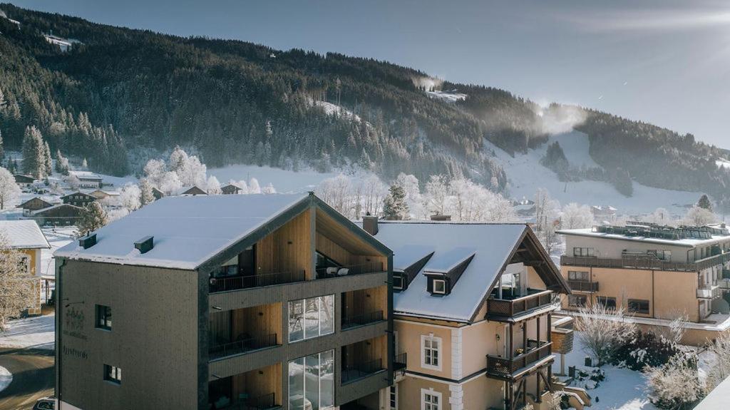 Vier Maederlhaus Lejlighed Eben Im Pongau Eksteriør billede